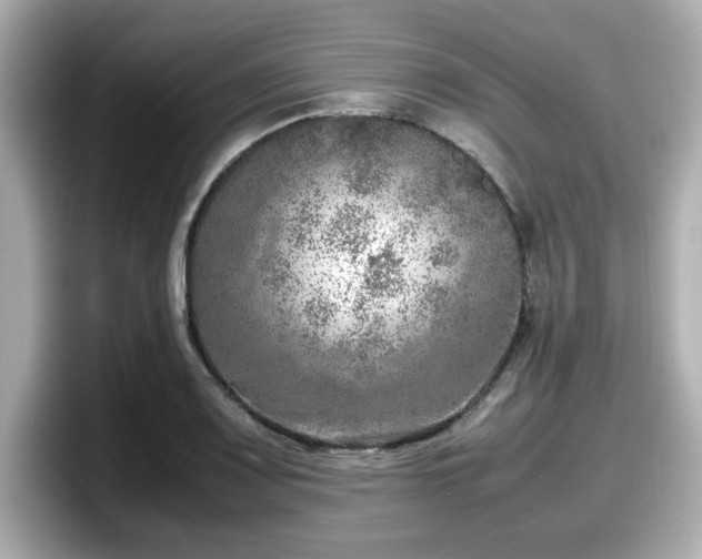 X0000098121083200804111110