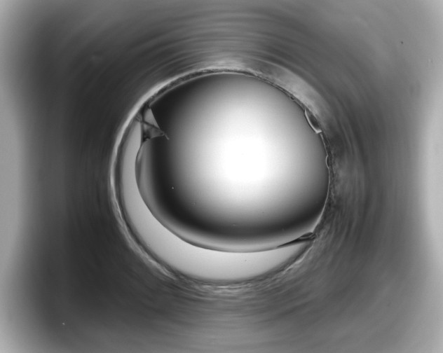 X0000098121084200804111110