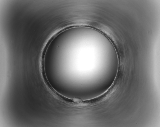 X0000098121085200804111110