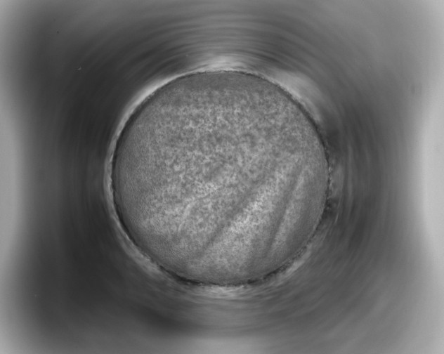 X0000098121086200804111110