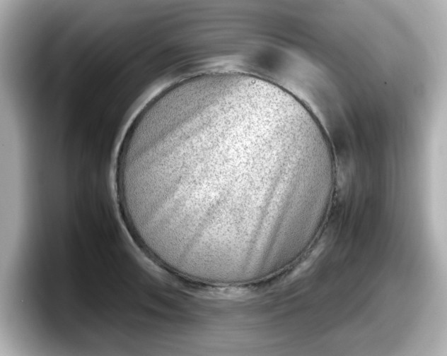 X0000098121090200804111110