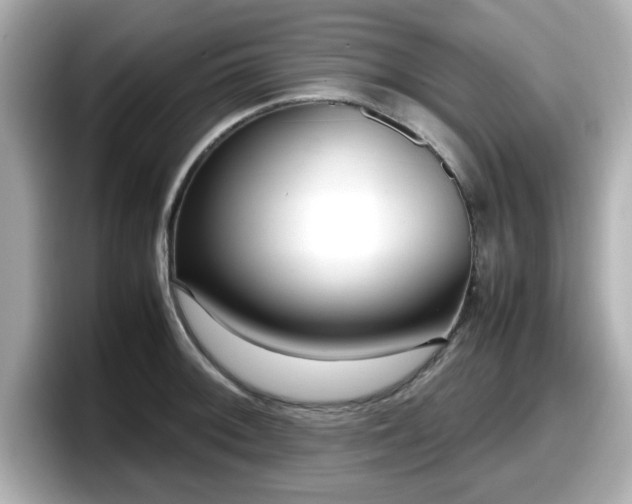 X0000098121092200804111110