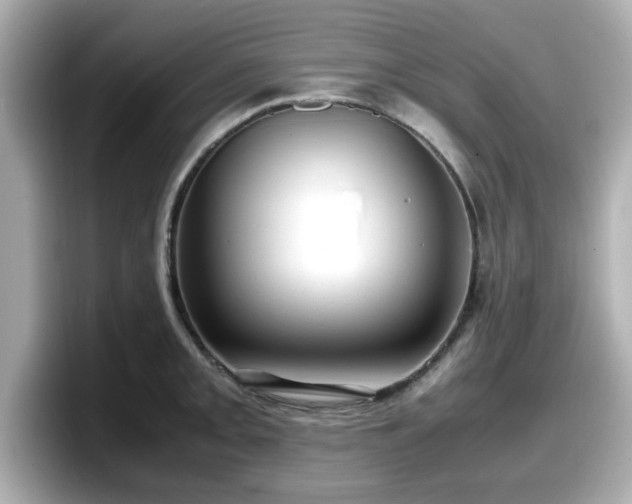 X0000098121093200804111110