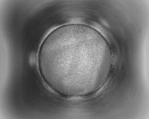X0000098121094200804111110