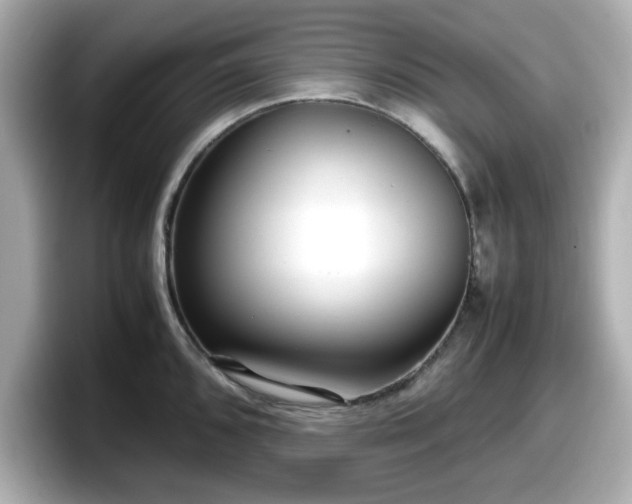 X0000098121096200804111110
