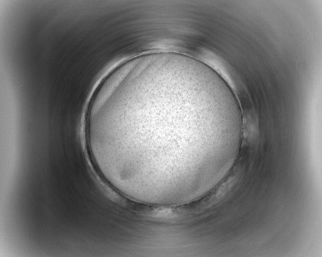 X0000098121098200804111110