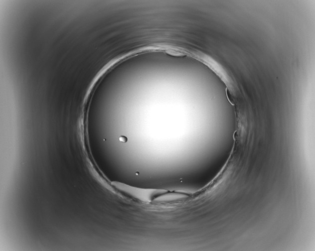 X0000098121100200804111110