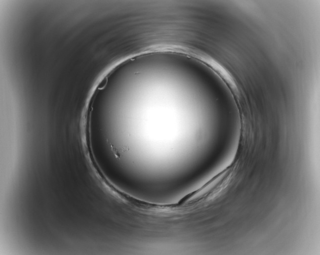 X0000098121102200804111110