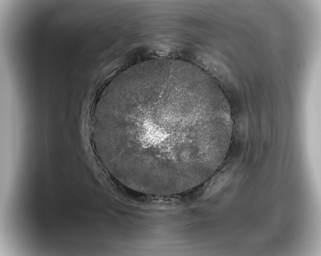 X0000098121105200804111109