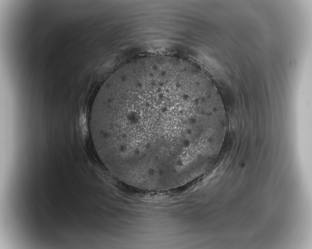 X0000098121106200804111109