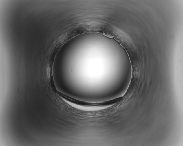 X0000098121108200804111109