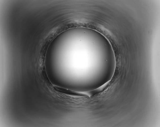 X0000098121110200804111109