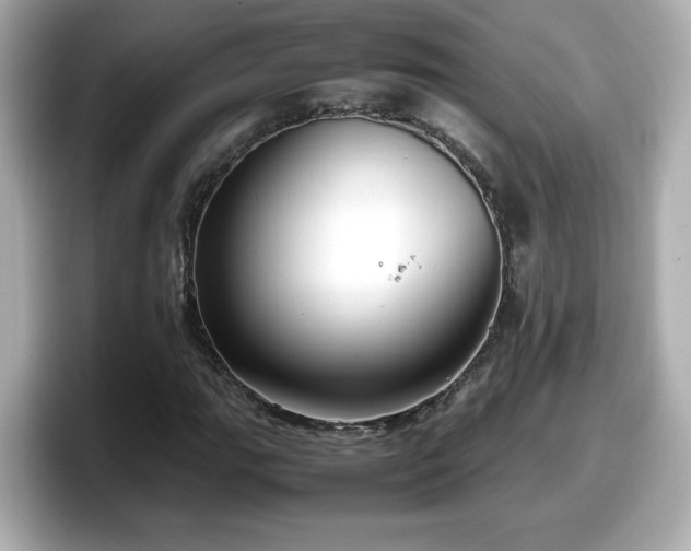 X0000098121111200804111109