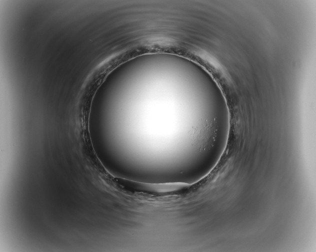 X0000098121112200804111109