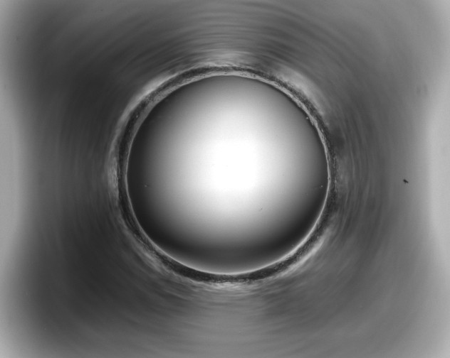 X0000098121114200804111109