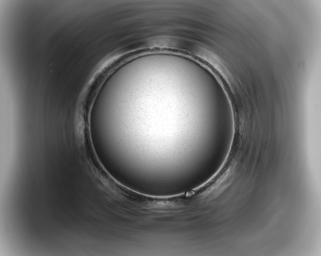 X0000098121115200804111109