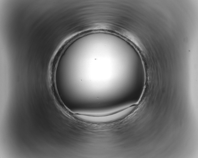X0000098121116200804111109