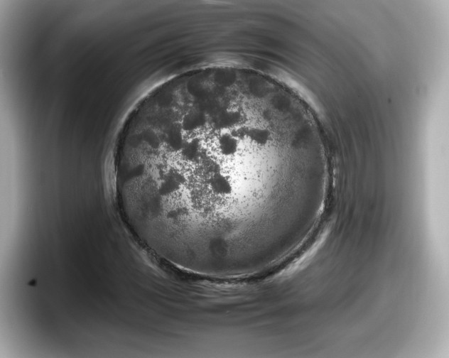 X0000098121117200804111109