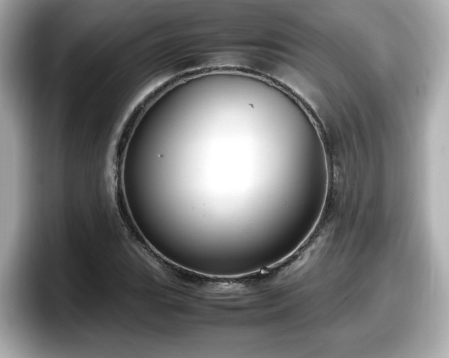 X0000098121119200804111110