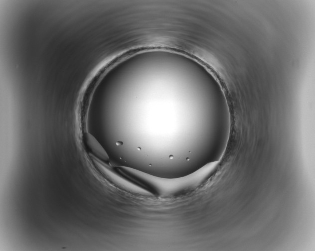 X0000098121120200804111110