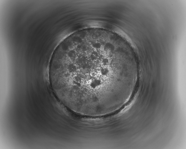 X0000098121121200804111110
