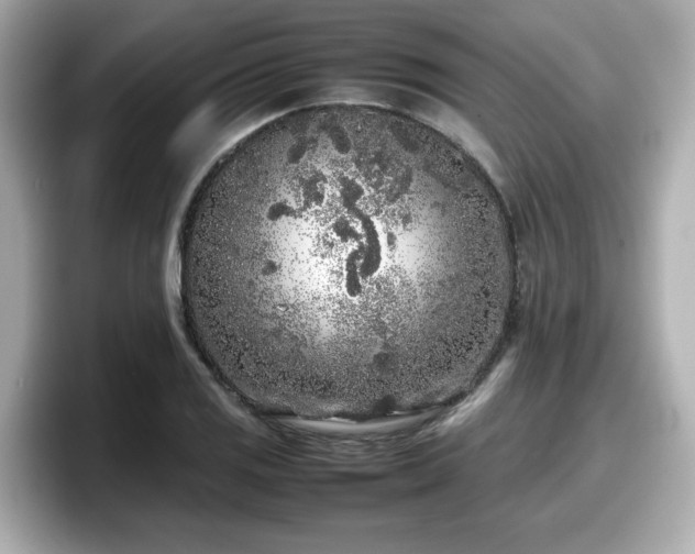 X0000098121125200804111110