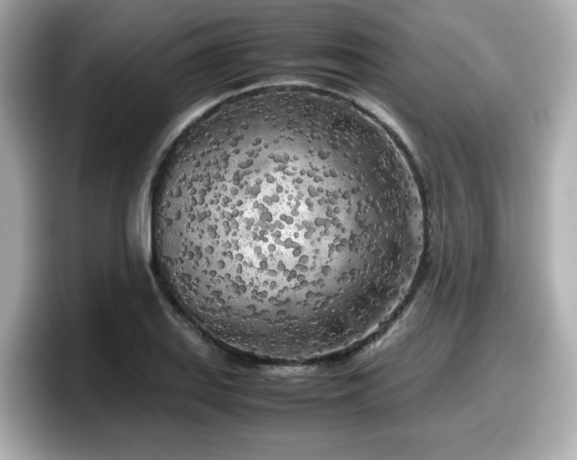 X0000098121127200804111110