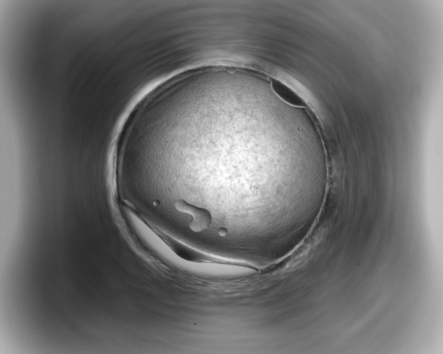 X0000098121128200804111110