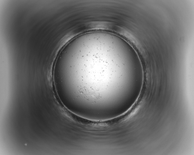 X0000098121129200804111110