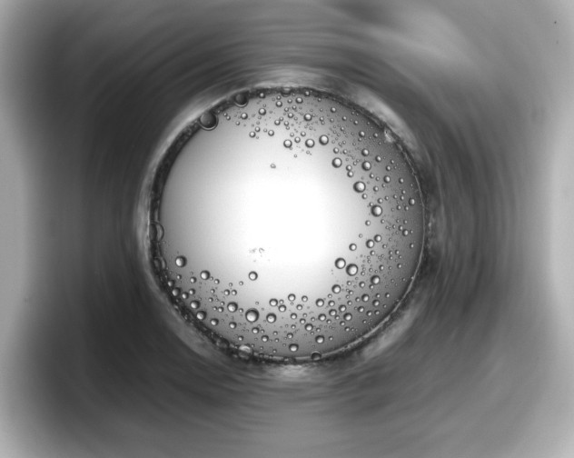 X0000098121130200804111110