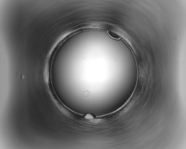 X0000098121131200804111110