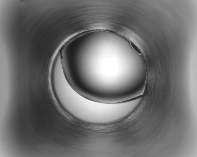 X0000098121132200804111110