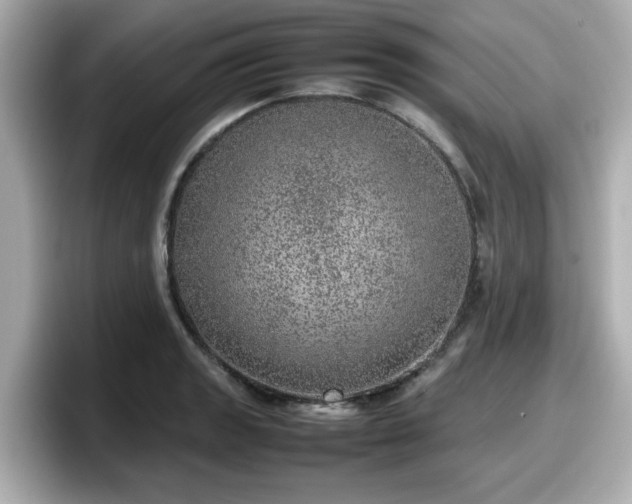 X0000098121133200804111110