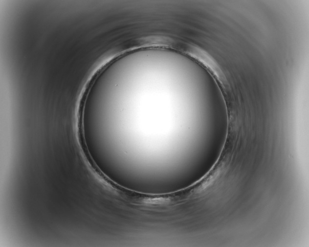 X0000098121135200804111110
