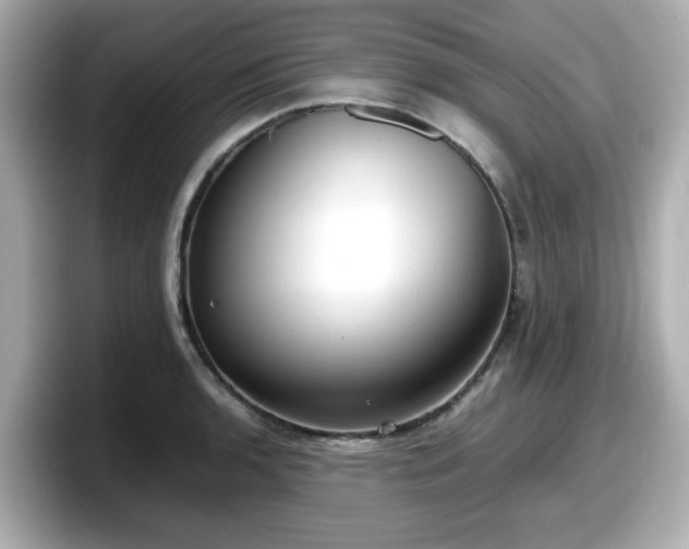 X0000098121136200804111110