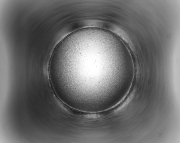 X0000098121137200804111110