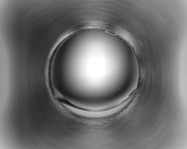 X0000098121138200804111110