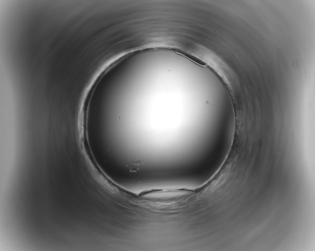 X0000098121140200804111110