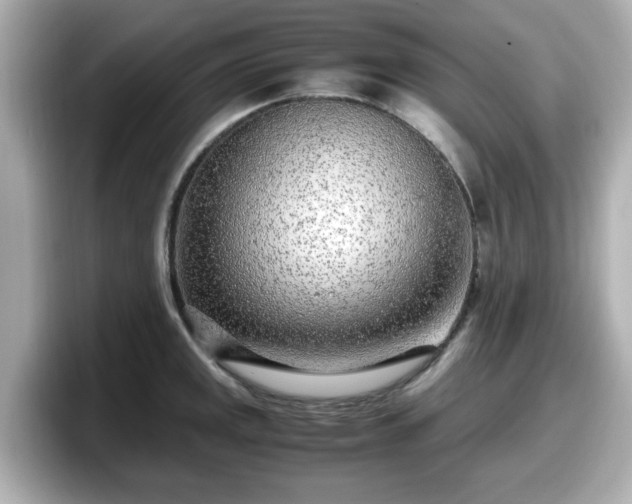 X0000098121141200804111110