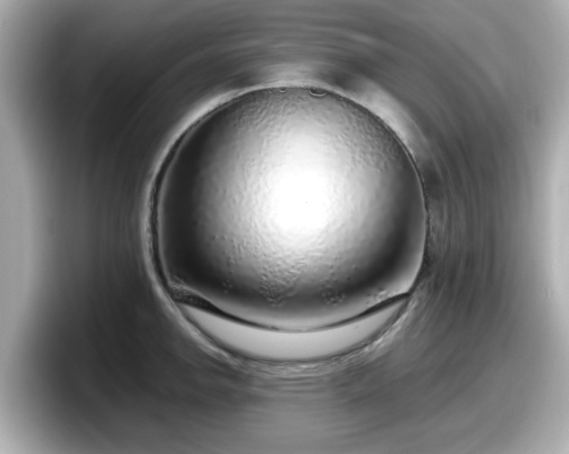 X0000098121142200804111110
