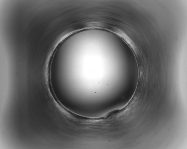 X0000098121143200804111110