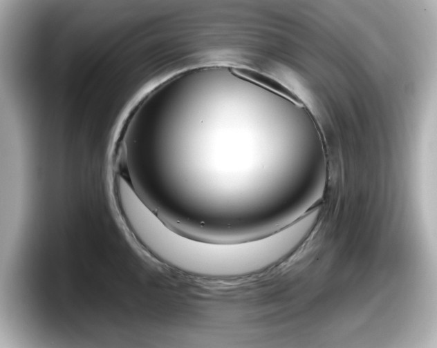 X0000098121144200804111110