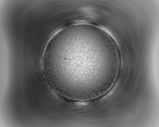 X0000098121145200804111110