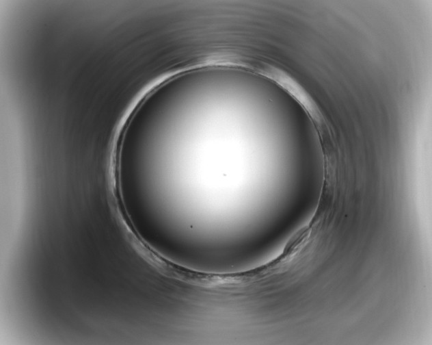 X0000098121148200804111110