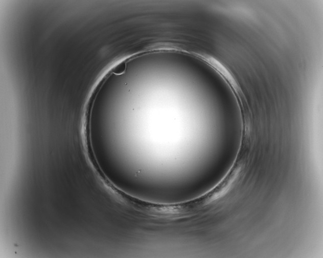X0000098121149200804111110