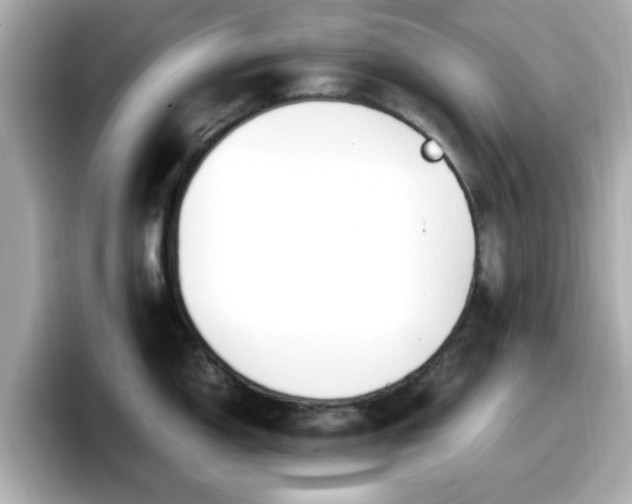 X0000098121150200804111110