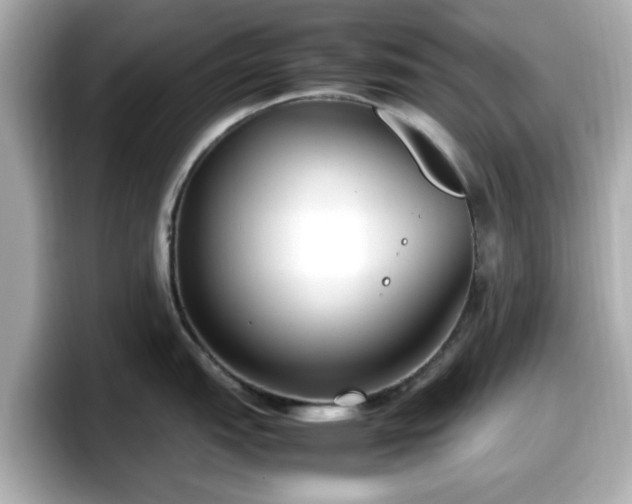 X0000098121151200804111110