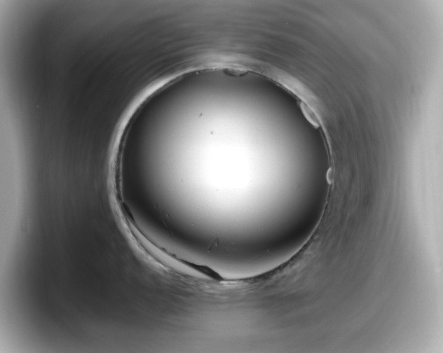 X0000098121152200804111110