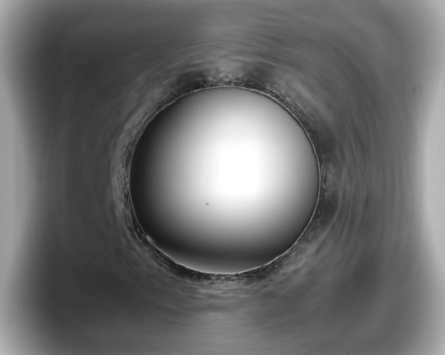 X0000098121153200804111109