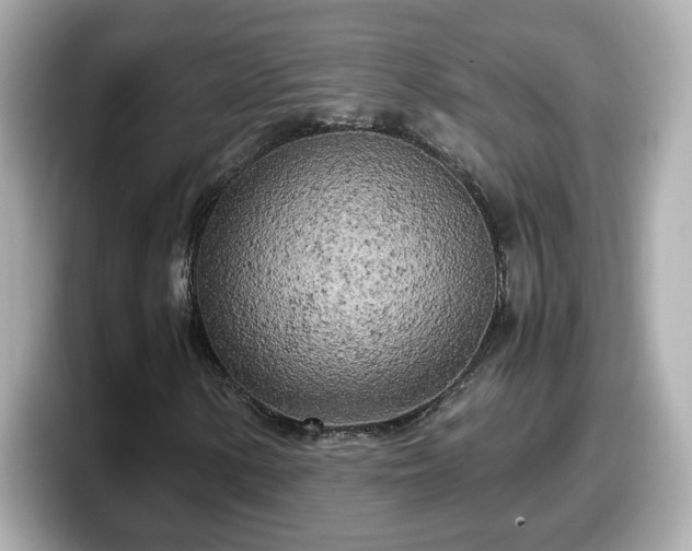 X0000098121154200804111109